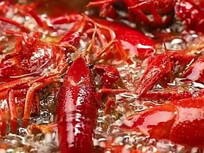 麻辣小龍蝦調料包