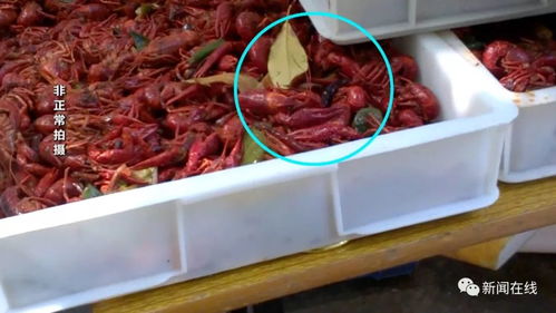 深夜加工的小龍蝦調(diào)料 小區(qū)食品加工點背后的隱患